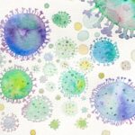 Health Officials Dispel Rumors Of “Brain-Eating” Amoebas